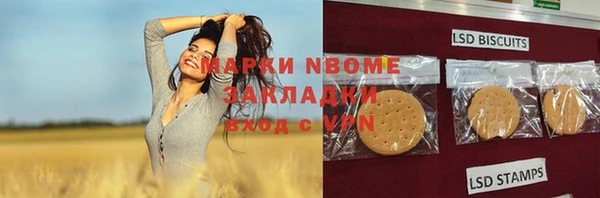 ГАЛЛЮЦИНОГЕННЫЕ ГРИБЫ Абаза