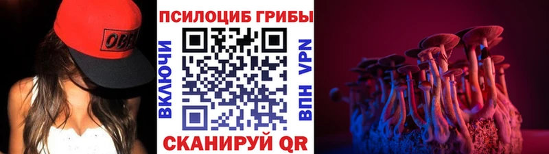 Псилоцибиновые грибы Cubensis  Тюмень 